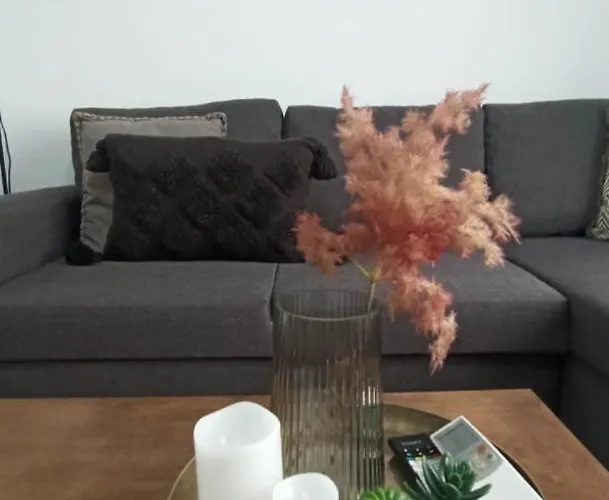 Down Town Luxurious Apartments 3