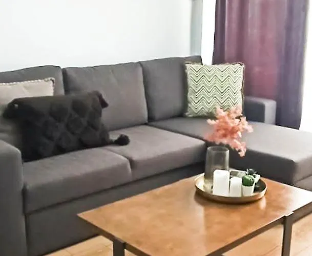 Down Town Luxurious Apartments 3