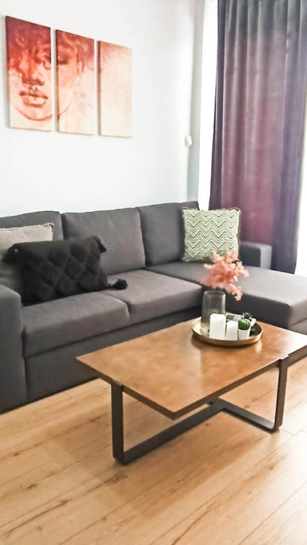 Apartment Down Town Luxurious 3